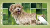 Dog Puzzles - Drag & Swap Screen Shot 1