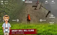 Angry Bull Game Screen Shot 0