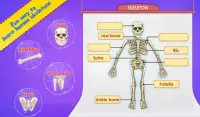 Human Body Parts - Preschool Kids Learning Screen Shot 4