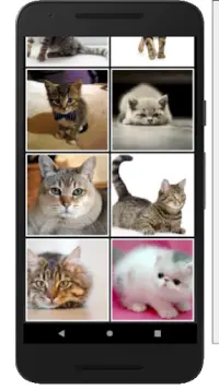 प्यारा बिल्ली आरा और आठ पहेली खेल, नि: शुल्क मज़ा Screen Shot 4