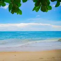 Quebra-cabeças de praias tropicais ☀️🌴 Screen Shot 12