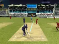 Cricket Top Games 2015 Screen Shot 4