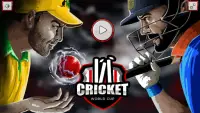 Cricket World Cup online Screen Shot 6