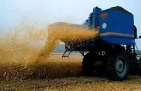 Farm wheat harvester puzzle Screen Shot 0