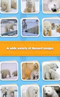 Polar Bear Screen Shot 3