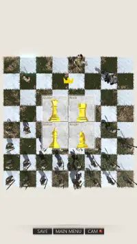 Real Chess 3rd Screen Shot 5