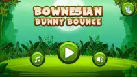 Bownesian Bunny Bounce Free Screen Shot 0