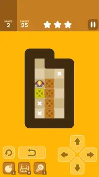 Push Maze Puzzle Screen Shot 3