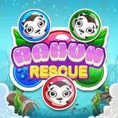 Rakun Rescue