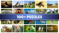 Horse and Pony jigsaw puzzles Screen Shot 0