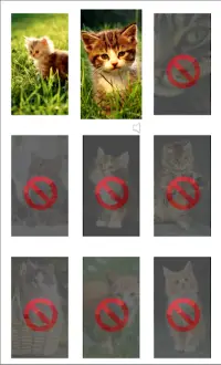 kitty Puzzle Screen Shot 3