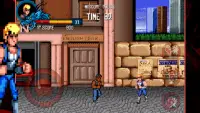 Double Dragon Trilogy Screen Shot 0