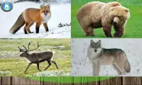 Учим животных и звуки для малышей Screen Shot 7