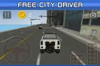 City Car Driving Screen Shot 0