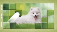 犬のパズル Screen Shot 0