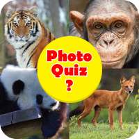 Animal Quiz: Guess The Pic Quiz Jeu
