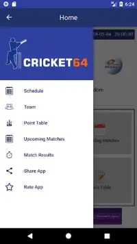 Cricket 64 Screen Shot 2