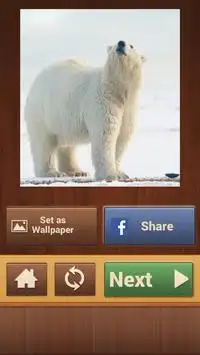 Animal Jigsaw Puzzles for Kids Screen Shot 8