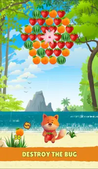 Bubble Fruit Shooter Screen Shot 11