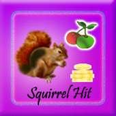 Squirrel Hit