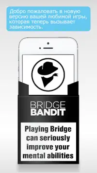 Bridge Bandit - Play & Learn Screen Shot 1