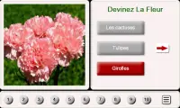 Devinez le Fleur: Puzzle de Tuiles Screen Shot 0