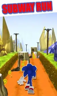 Subway Hedgehog Adventure: Dash Runner jump Game Screen Shot 2