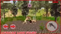 Phi Lions Fight - 2 trò chơi người chơi Screen Shot 3