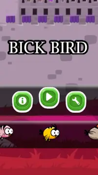 Bick Bird Screen Shot 0