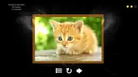 Kitty Cat Jigsaw Puzzles Screen Shot 9