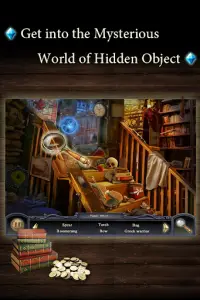Hidden Object: Mystery of the Secret Guardians Screen Shot 1