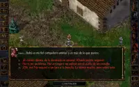 Baldur's Gate Enhanced Edition Screen Shot 11