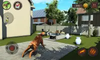 Boxer Dog Simulator Screen Shot 1