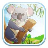 Koala Bear Run