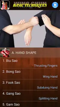 Wing Chun Kung Fu Screen Shot 1