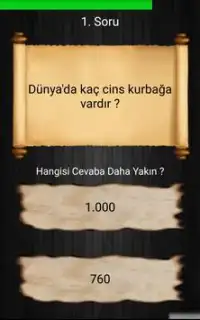 Survivor Bil Bakalım Oyunu Screen Shot 1