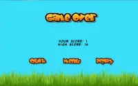 Angry Flappy In City Screen Shot 4