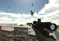 Chasse aux oiseaux Shooter2016 Screen Shot 1