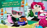 Kitty Cat Pet Dress Up & Care Screen Shot 2