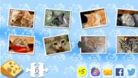 Koty puzzle dla dzieci Screen Shot 0