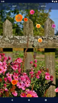 Autumn Flowers Live Wallpaper Screen Shot 6