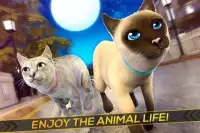 Meow! Cute Kitty Cat 🐈 Puppy Love Pet Simulator Screen Shot 0