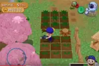 Best Harvest Moon Trick Screen Shot 1