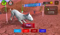 Bull Terier Dog Simulator Screen Shot 15
