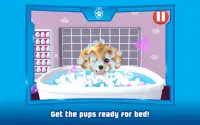PAW Patrol: A Day in Adventure Bay Screen Shot 4