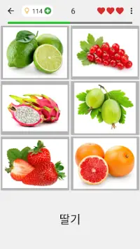 과일과 채소, 견과류, 딸기와 향신료: 그림 퀴즈 Screen Shot 1