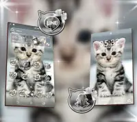 Cute Cat Launcher Theme Screen Shot 3