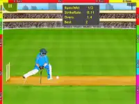 T20 Cricket Challenge Screen Shot 3