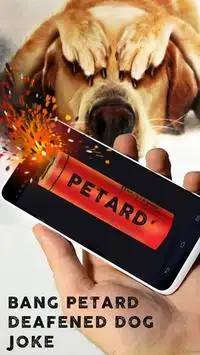 Bang Petard Deafened Dog Joke Screen Shot 2