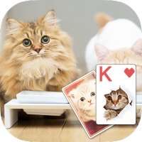 Solitaire Lovely Cats Theme